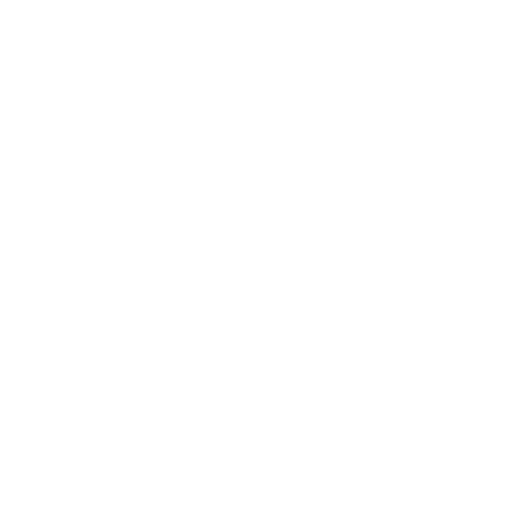 X Icon