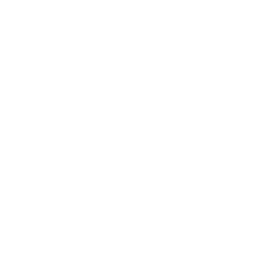 Select Car Icon